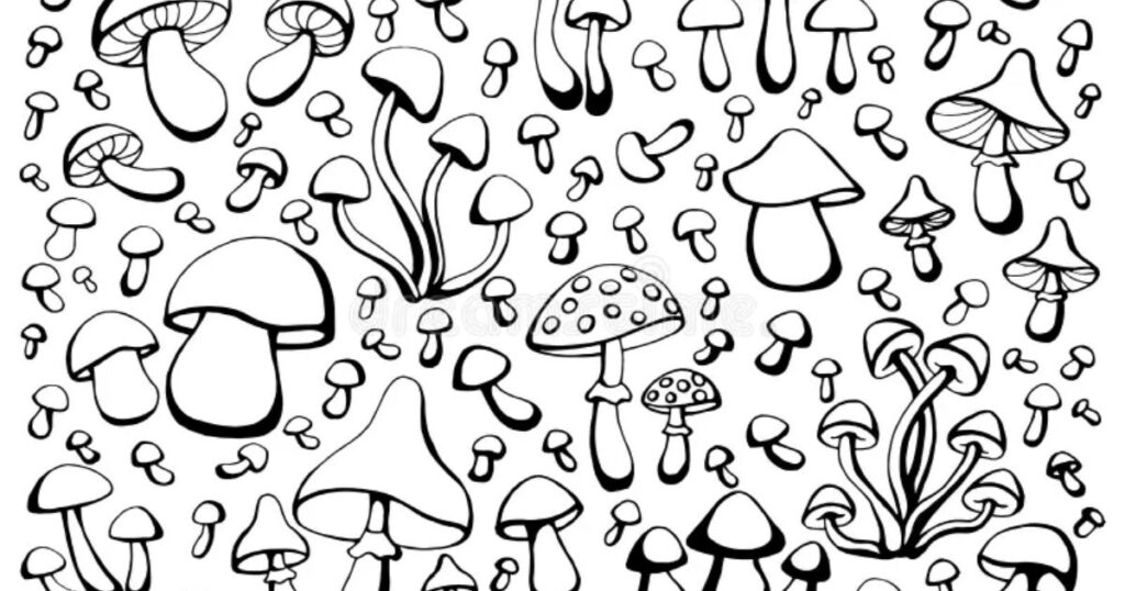 Essential Tools for Drawing: Places JEPQ= Mushroom